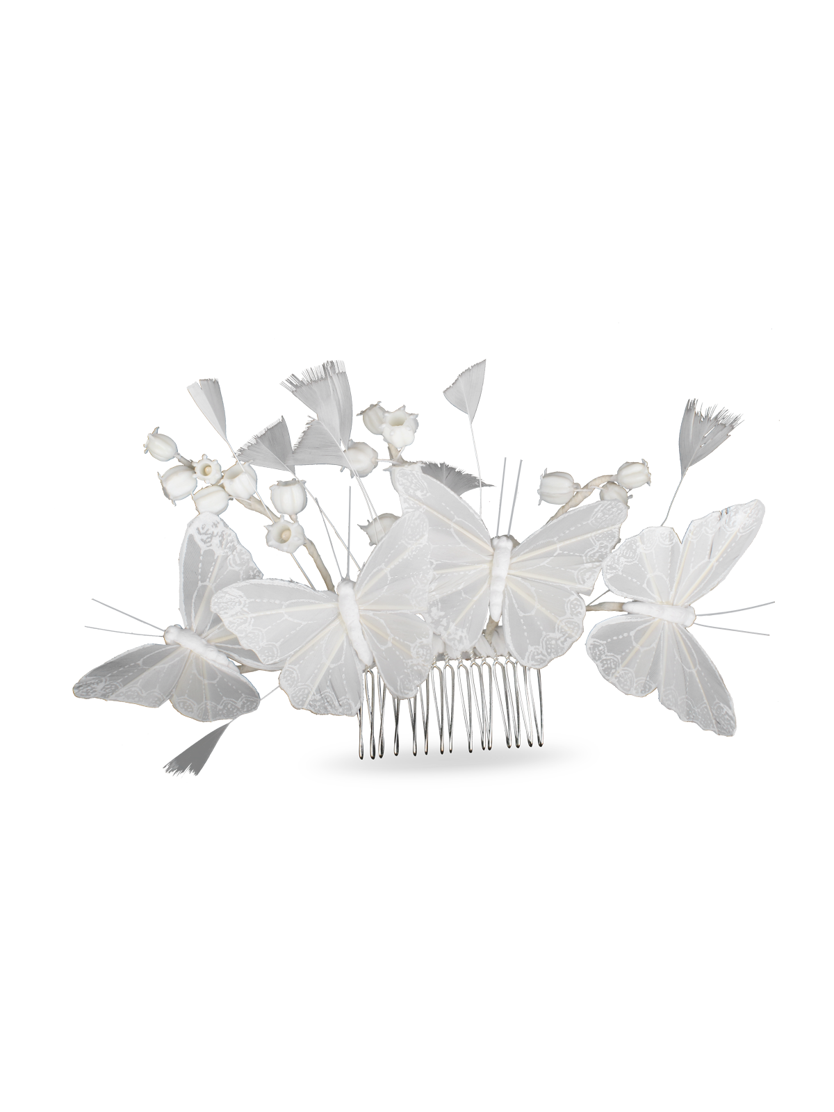 GLASSWING TARAK TOKA