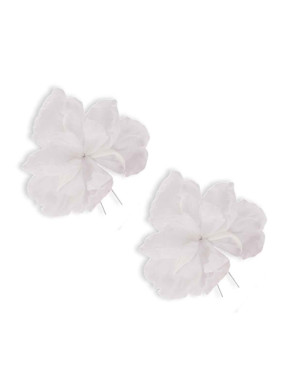 PETUNIAS FIRKETE SET