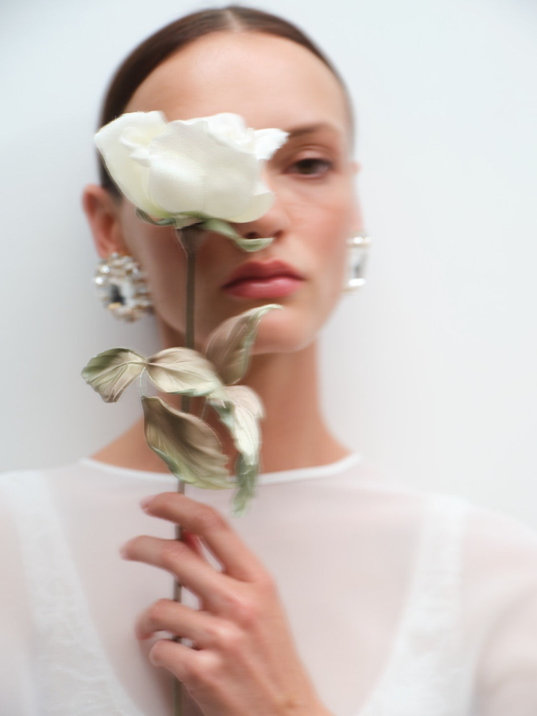 AMORA GELİN ÇİÇEĞİ